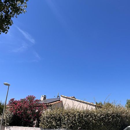 Villa Des Romieux Pinet  Exteriör bild